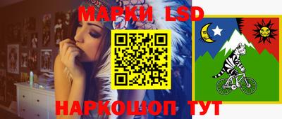 крисы Ставрополь