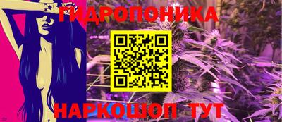крисы Ставрополь