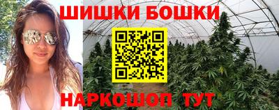 крисы Ставрополь