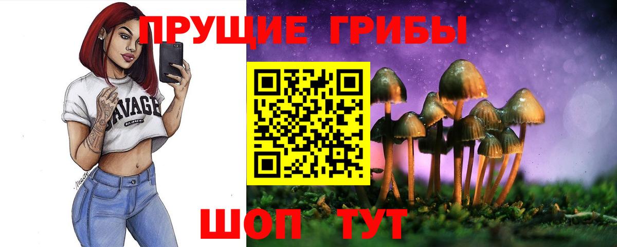 Псилоцибиновые грибы прущие грибы Асино