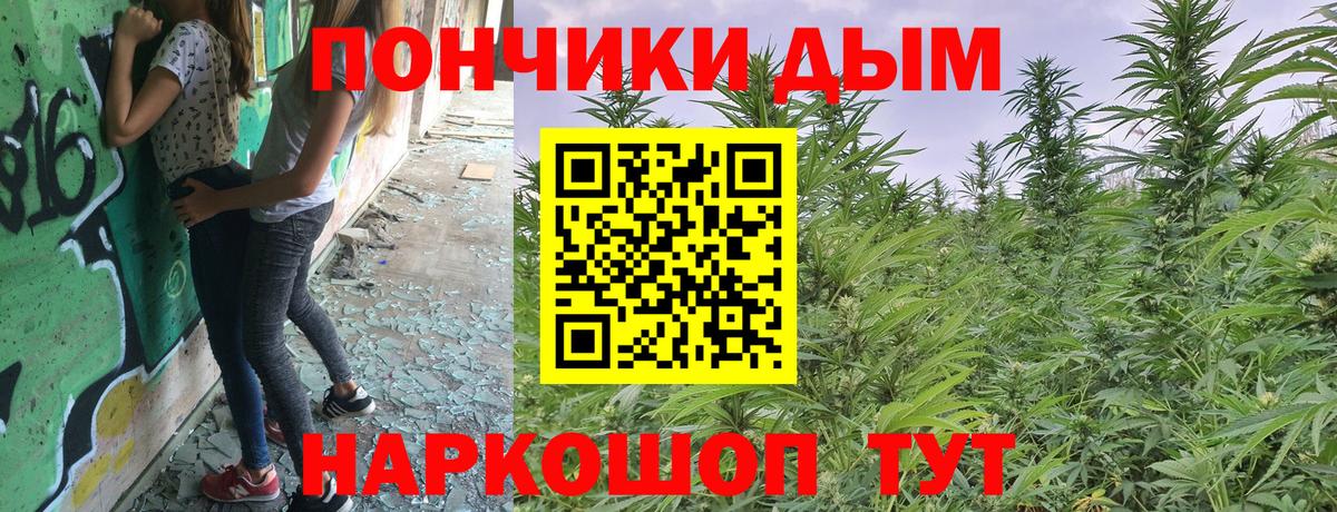 Шишки марихуана план  Бошки Шишки сатива  МАРИХУАНА Amnesia  Вход с VPN  Бошки Шишки AK-47  Асино 